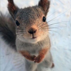 Meet your Posher, Ella